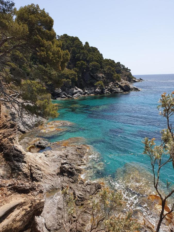 Villa L'Arbanaise Vue Mer Piscine Presqu'Ile Giens By Hc Hyeres Bagian luar foto